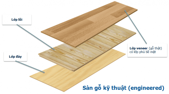 Có những loại sàn gỗ tự nhiên nào đang được sử dụng