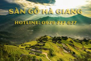 Sàn gỗ Hà Giang - Hotline: 0979 777 677