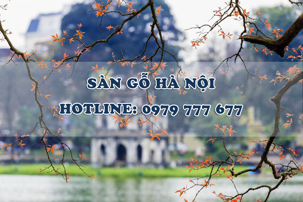 Sàn gỗ Hà Nội - Hotline: 0979 777 677