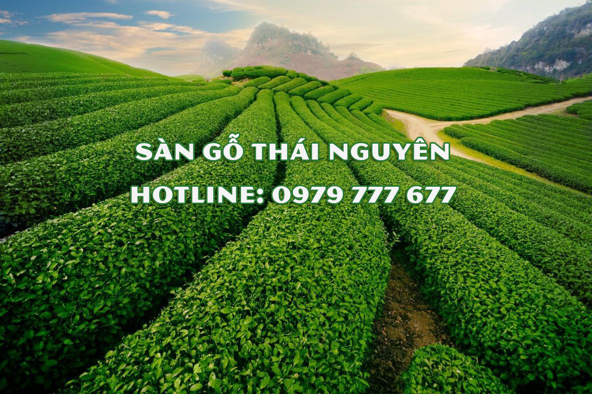 Sàn gỗ Thái Nguyên - Hotline: 0979 777 677