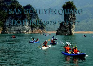 Sàn gỗ Tuyên Quang - Hotline: 0979 777 677