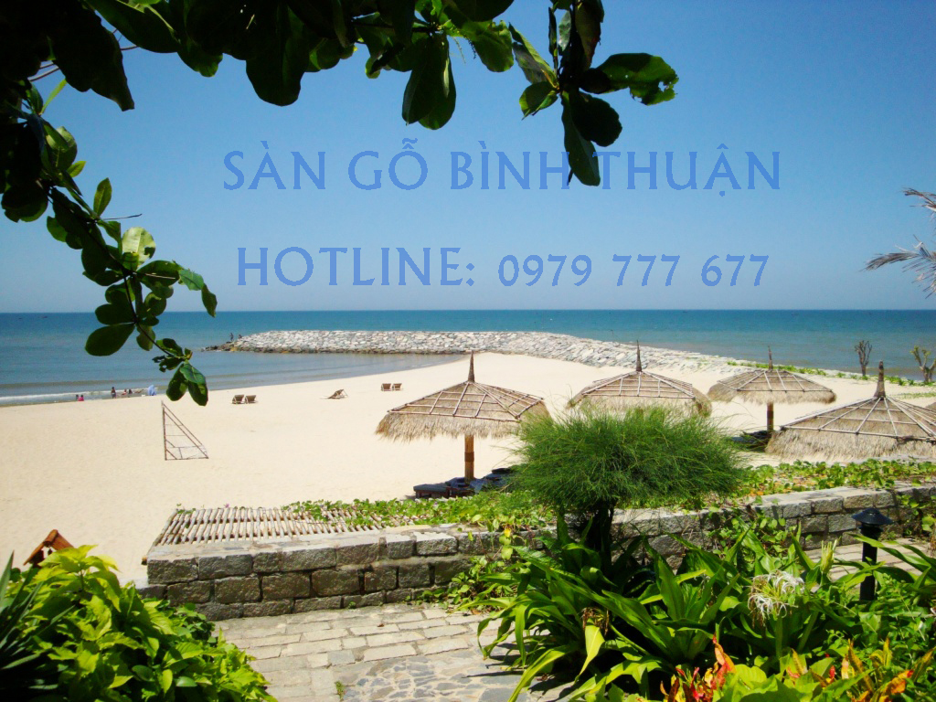 Sàn gỗ Bình Thuận - Hotline: 0979 777 677