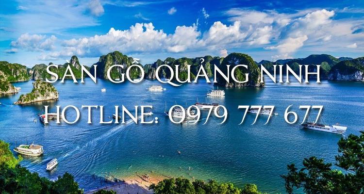 Sàn gỗ Quảng Ninh - Hotline: 0979 777 677