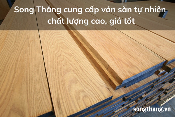 song-thang-cung-cap-van-san-tu-nhien-chat-luong-cao-gia-tot